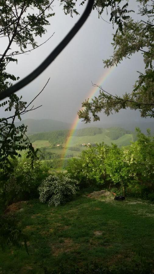 Agriturismo Il Colore Del Grano San Vittore  Exterior foto
