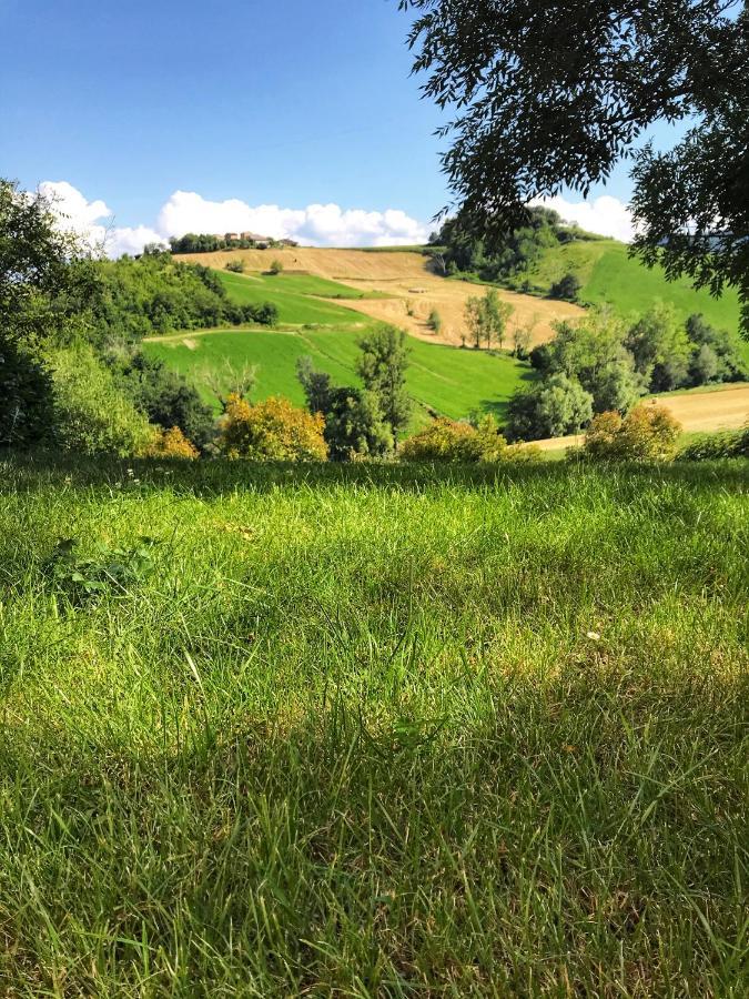 Agriturismo Il Colore Del Grano San Vittore  Exterior foto