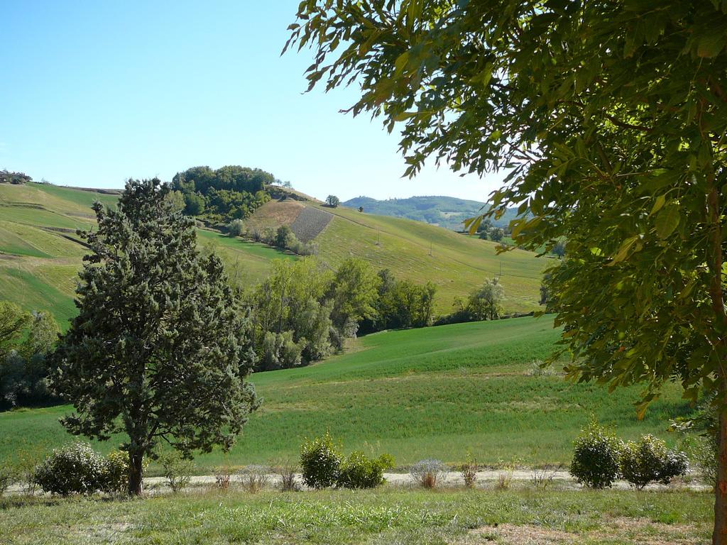 Agriturismo Il Colore Del Grano San Vittore  Exterior foto