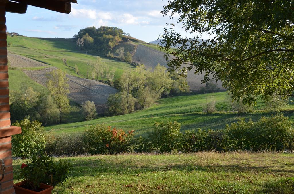 Agriturismo Il Colore Del Grano San Vittore  Exterior foto
